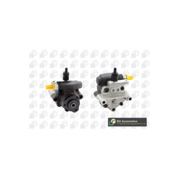 BGA Group PSP4202 - PAS Pump