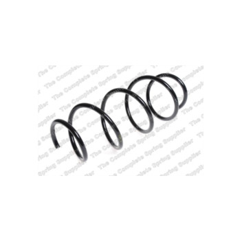 Neox SP7532 - Coil Spring (Front)
