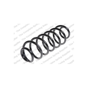 Neox SH6011 - Coil Spring (Rear)