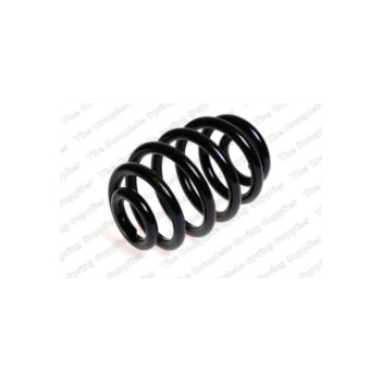 Neox SP9935 - Coil Spring (Rear)