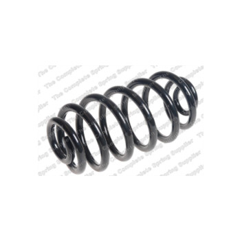 Neox SJ6336 - Coil Spring (Rear)