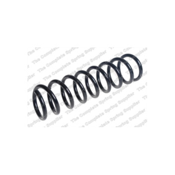 Neox SP8420 - Coil Spring (Rear)