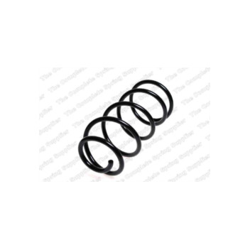 Neox SG6041 - Coil Spring (Front)