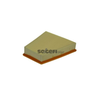Purflux A1113 - Air Filter