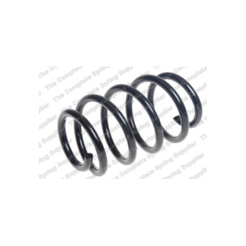 Neox SP7549 - Coil Spring (Front)