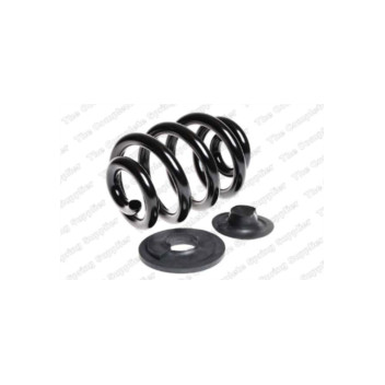 Neox SP7598 - Coil Spring (Rear)