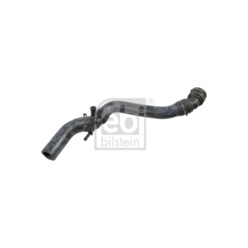 Febi 170955 - Hose (Upper)