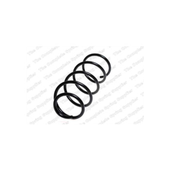 Neox SP6933 - Coil Spring (Front)