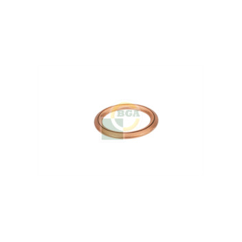 BGA Group PK01004 - Sealing Ring