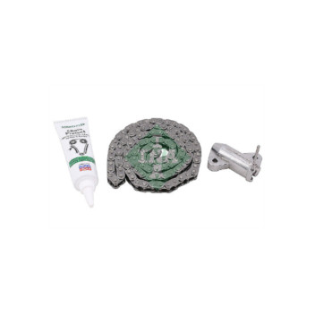 INA 559181010 - Timing Chain Kit
