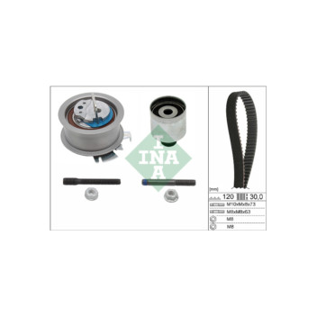 INA 530020110 - Timing Belt Kit