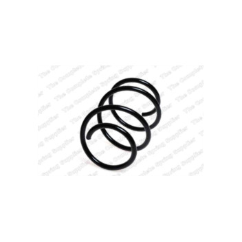 Neox SP7255 - Coil Spring (Front)