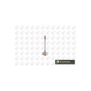 BGA Group V142049 - Inlet Valve