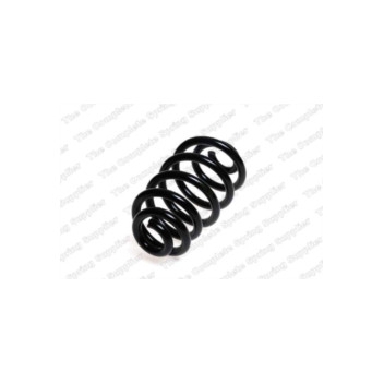 Neox SP6616 - Coil Spring (Rear)