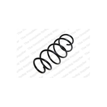 Neox SP7834 - Coil Spring (Front)