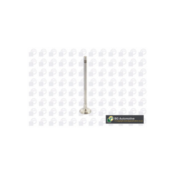 BGA Group V737875 - Exhaust Valve
