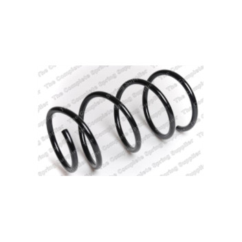 Neox SP7265 - Coil Spring (Front)