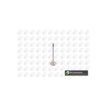 BGA Group V142050 - Exhaust Valve