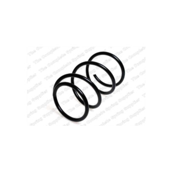 Neox SP8817 - Coil Spring (Front)