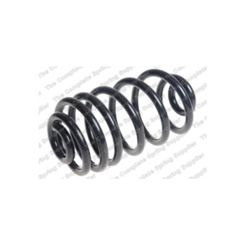 Neox SA6544 - Coil Spring (Rear)