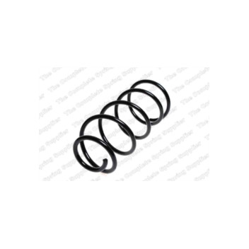 Neox SG6063 - Coil Spring (Front)