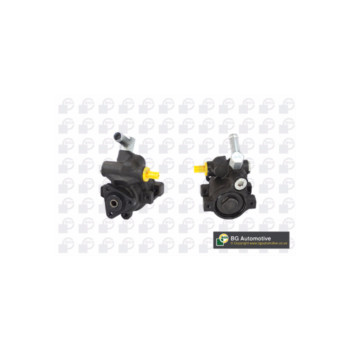 BGA Group PSP4200 - PAS Pump