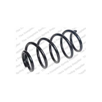Neox SP8181 - Coil Spring (Front)