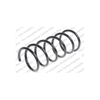 Neox SP6821 - Coil Spring (Rear)