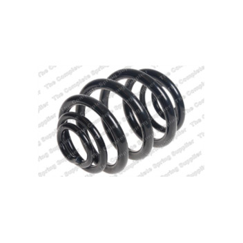 Neox SJ9038 - Coil Spring (Rear)
