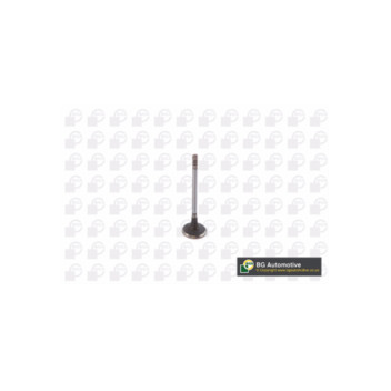 BGA Group V232015 - Inlet Valve