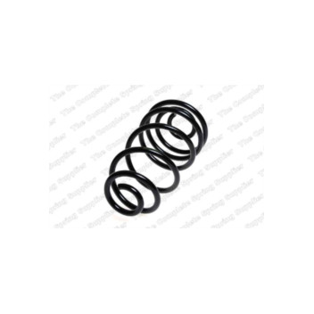 Neox SX6077 - Coil Spring (Rear)