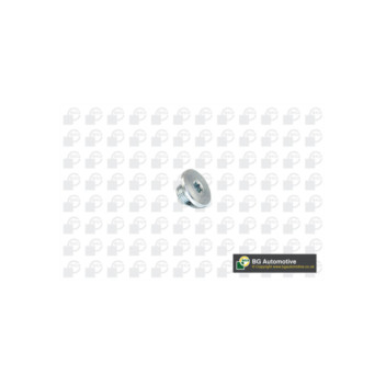 BGA Group PK2200 - Sump Plug
