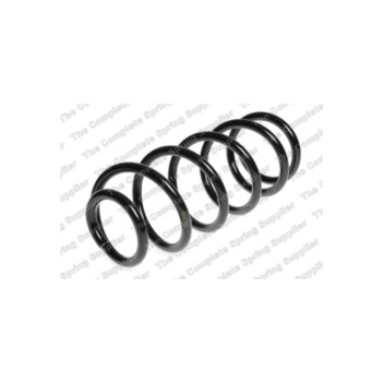 Neox ST1173 - Coil Spring (Rear)