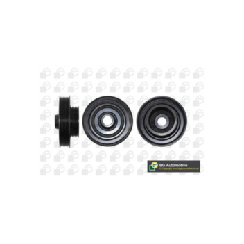 BGA Group DP1200 - Torsion Vibration Damper