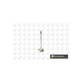BGA Group V166200 - Inlet Valve