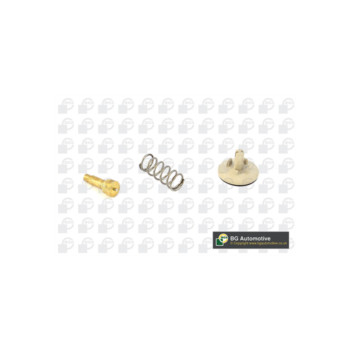 BGA Group CT9605 - Thermostat