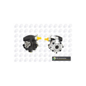 BGA Group PSP2310 - PAS Pump