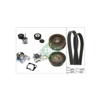 INA 529002030 - Drive Belt/Water Pump Kit