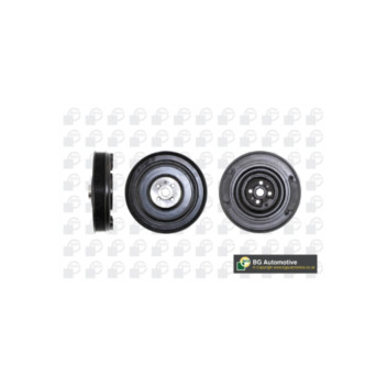  DP2976 - Torsion Vibration Damper