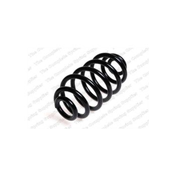 Neox SX6336 - Coil Spring (Rear)