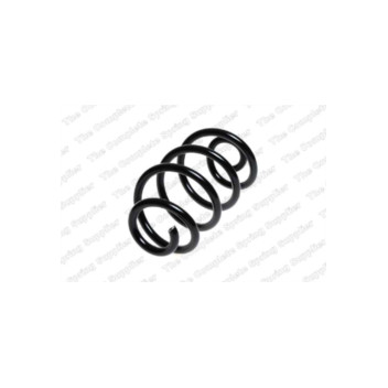 Neox SH6017 - Coil Spring (Rear)