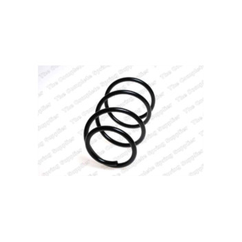 Neox SP8300 - Coil Spring (Front)