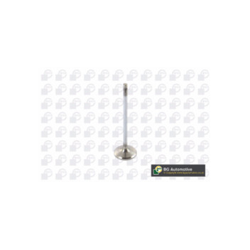 BGA Group V123821 - Inlet Valve