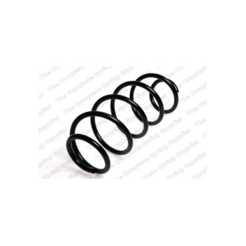 Neox SP7048 - Coil Spring (Front)