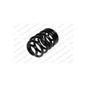 Neox SP7253 - Coil Spring (Rear)