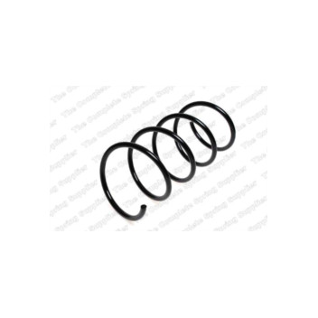 Neox SA6045 - Coil Spring (Front)