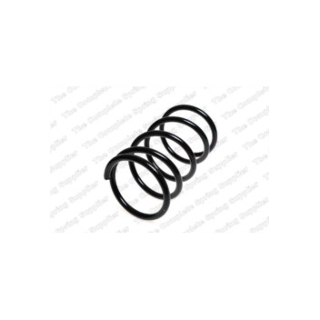 Neox SP7393 - Coil Spring (Front)