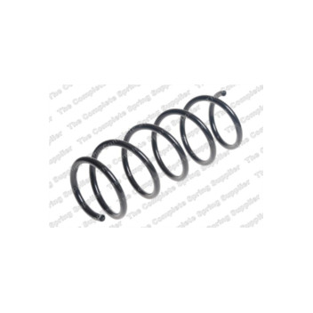 Neox SP6806 - Coil Spring (Front)