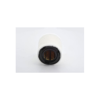 Bosch F026400391 - Air Filter
