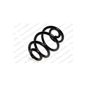Neox SP8899 - Coil Spring (Rear)